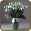 Snowdrops: 20%